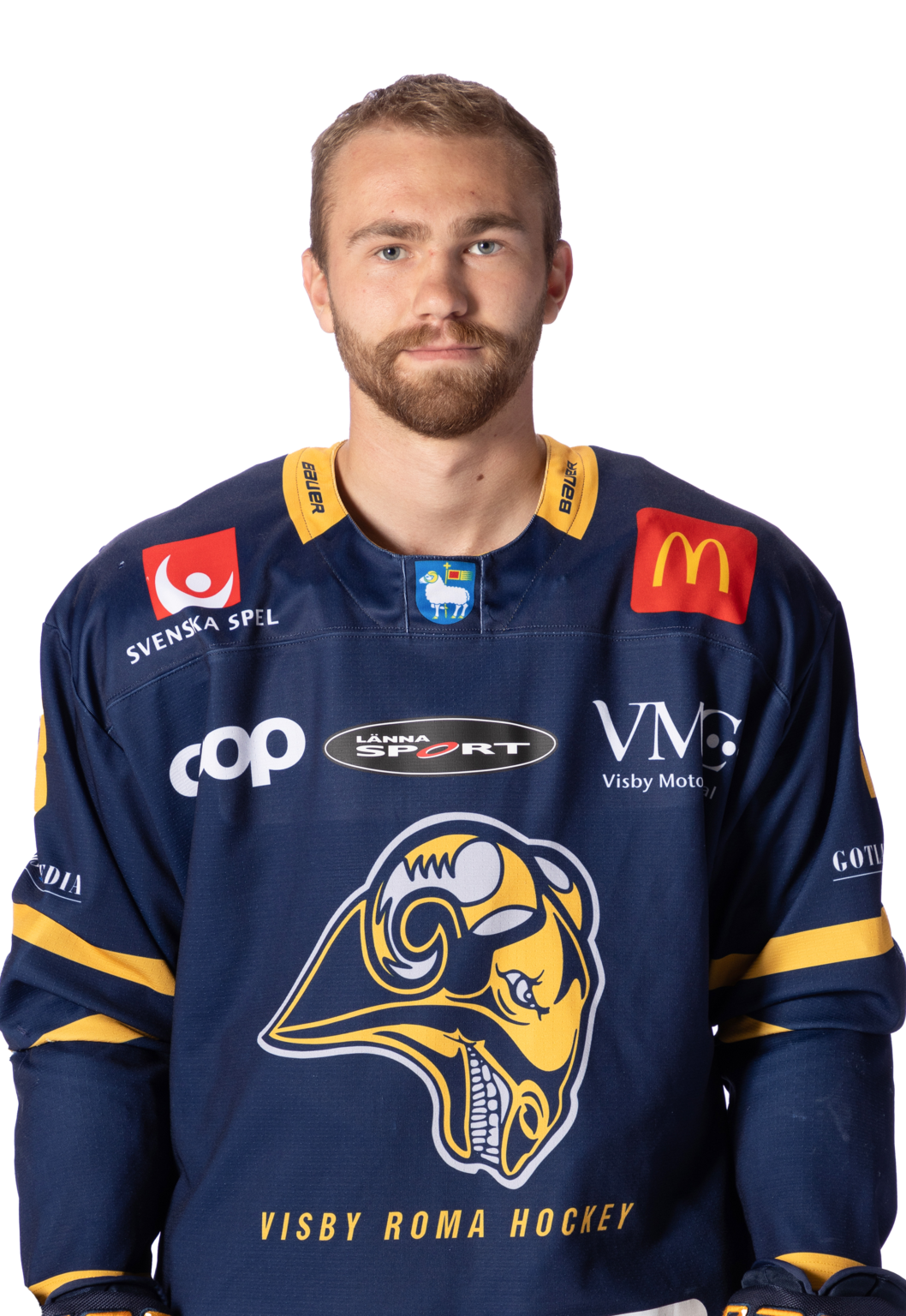 Trupp Visby Roma Hockey trupp-visby-roma-hockey