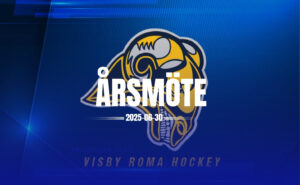 Årsmöte